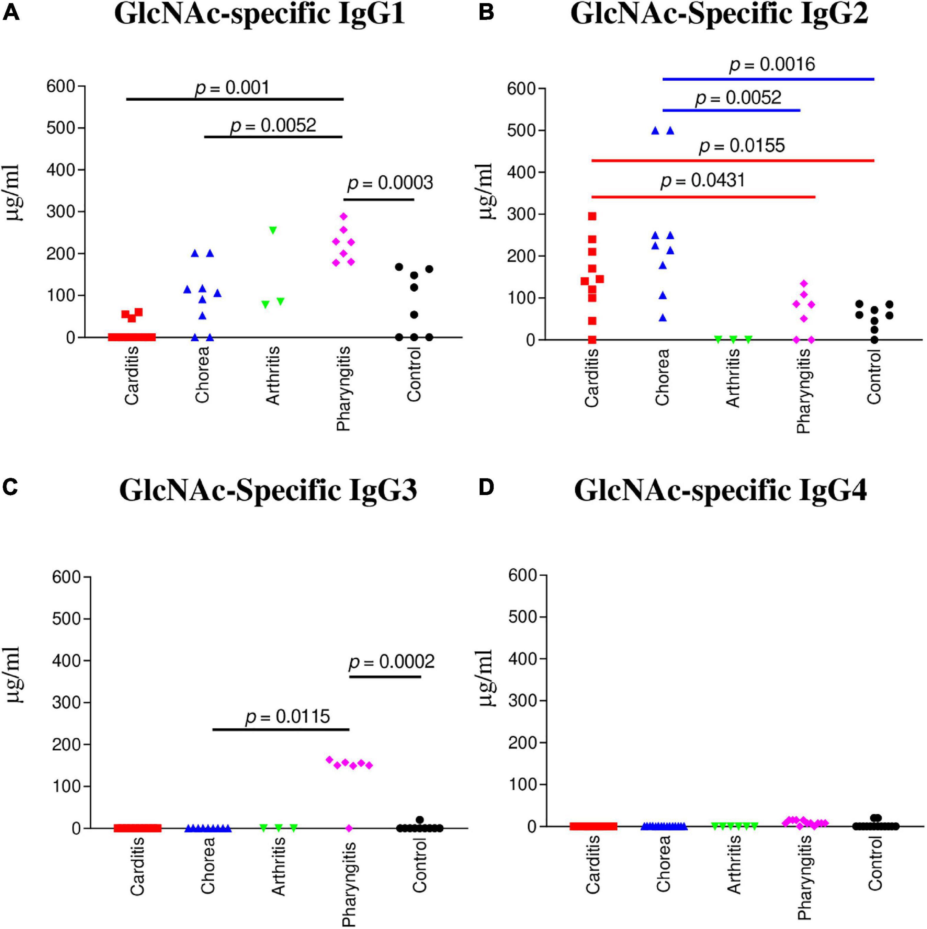 IgG2 rules: N-acetyl-β-D-glucosamine-specific IgG2 and Th17/Th1 cooperation may promote the pathogenesis of acute rheumatic heart disease and be a biomarker of the autoimmune sequelae of Streptococcus pyogenes